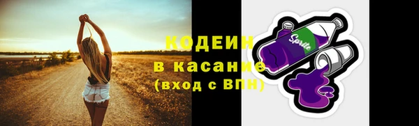 прущие грибы Аркадак
