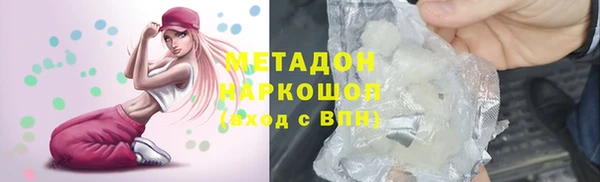 прущие грибы Аркадак