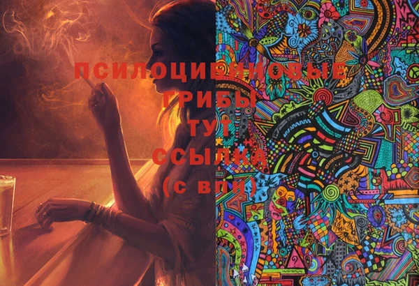 твердый Армянск