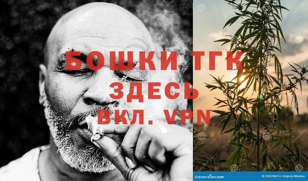 прущие грибы Аркадак