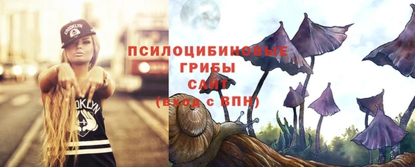 твердый Армянск